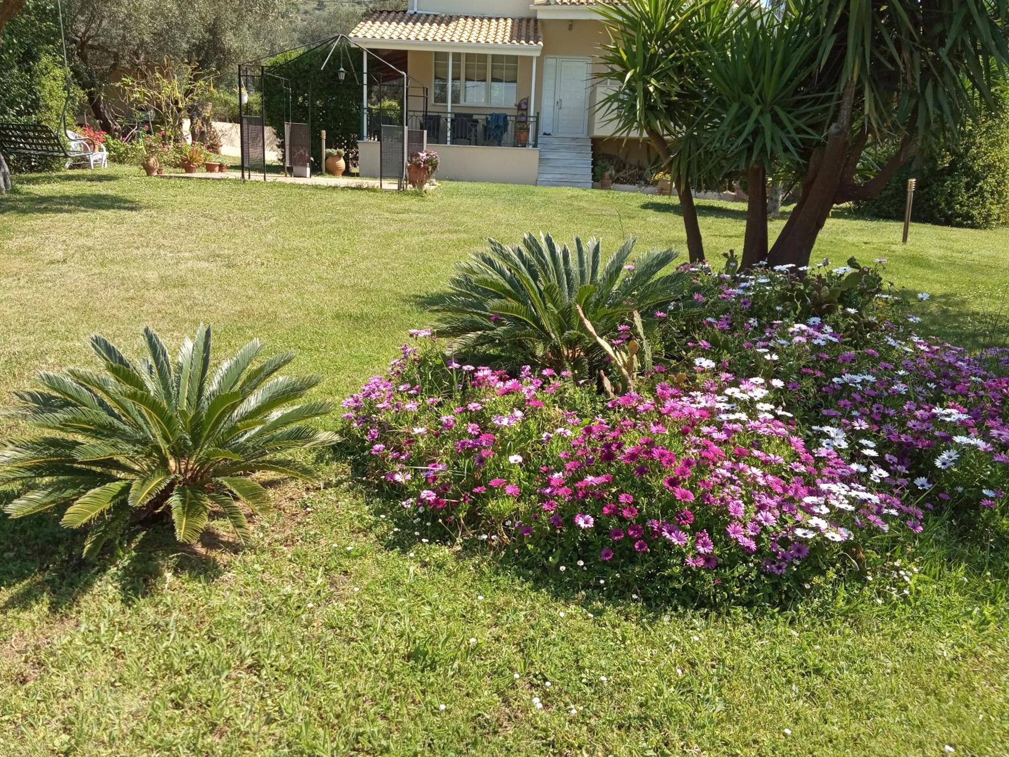 Sunny Garden Villa Plataria Room photo